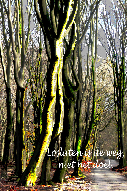 tekst: 4positiviteit  fotobewerking en ontwerp: harry weezeman