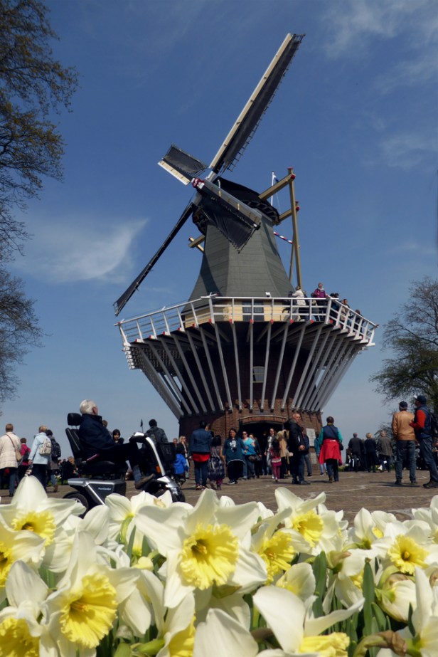 keukenhof3