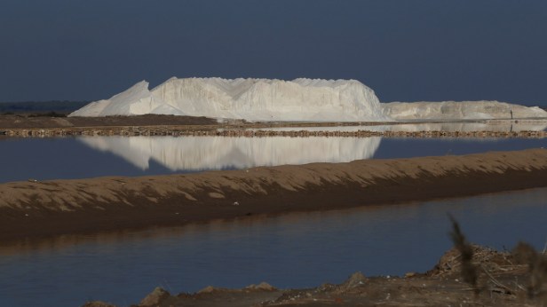 salinas