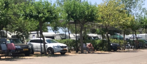 088b90d2-4050-4802-882a-617212f619cc