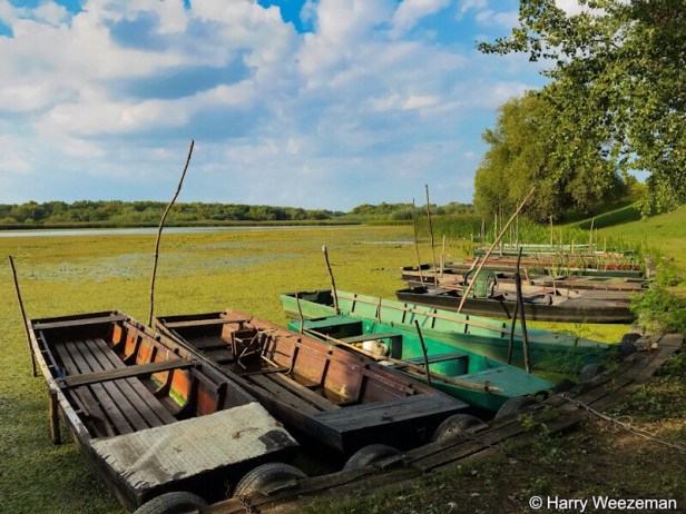 019f5bb9-8ef6-480a-9188-6ac58882088e