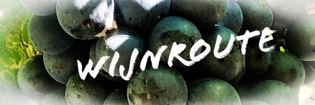 08da05b5-9457-49f8-ac39-a3de53e0fb14