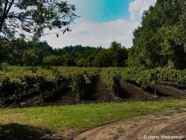 5bac7fcb-f033-4444-bdbe-db953beb92de